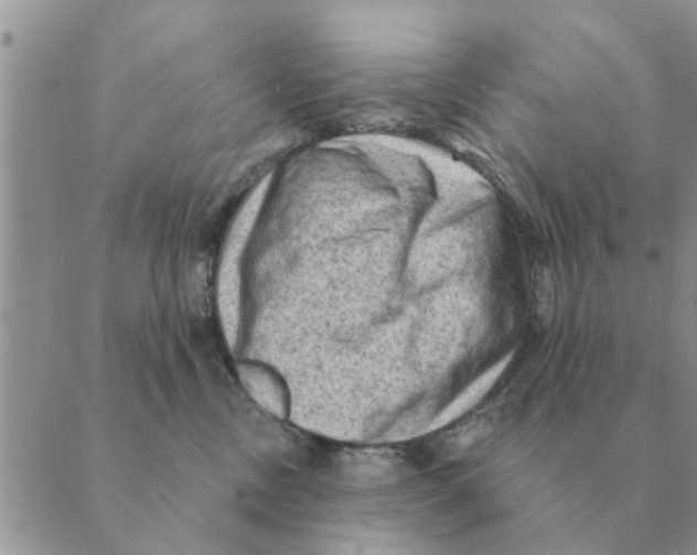 X0000088830378200707051428