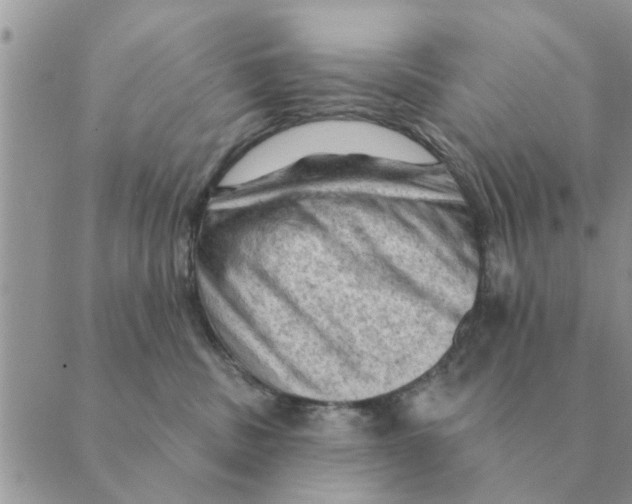 X0000088830379200707051428