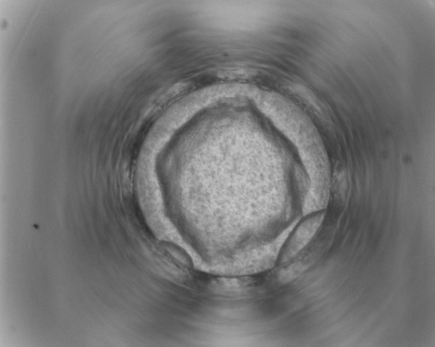 X0000088830381200707051428