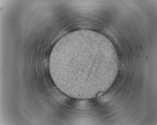 X0000088830382200707051428