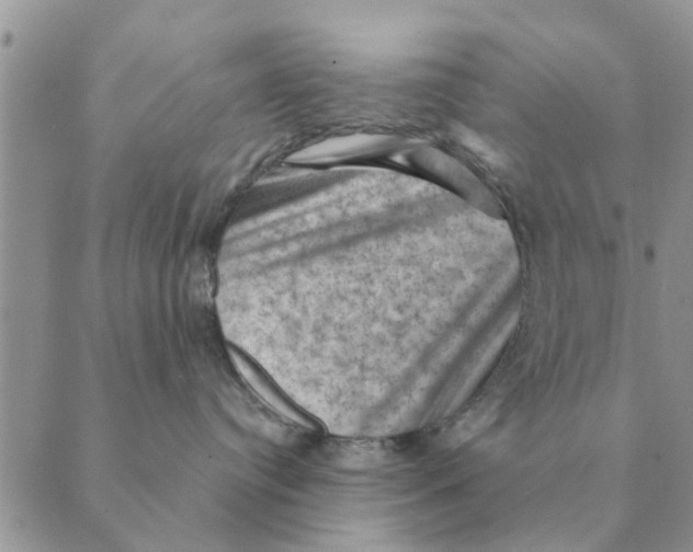 X0000088830384200707051428