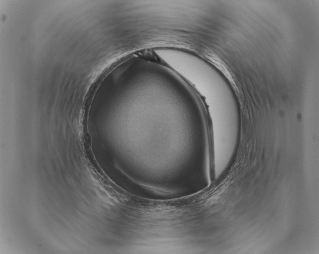 X0000088830387200707051427