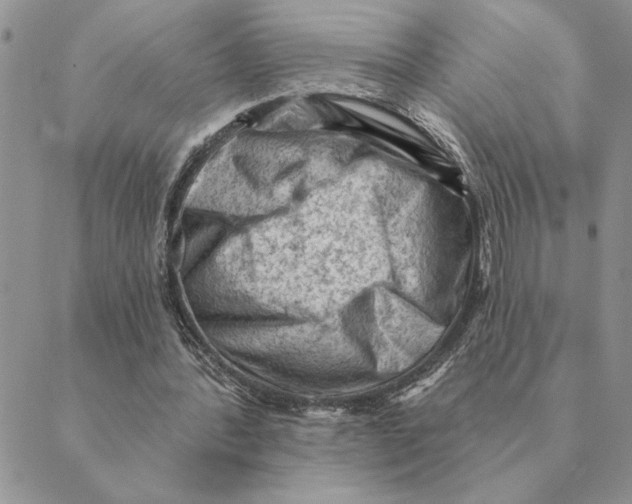 X0000088830388200707051427