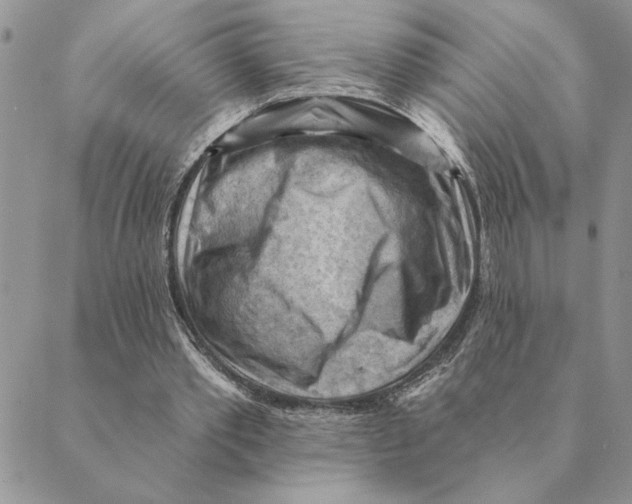 X0000088830389200707051427