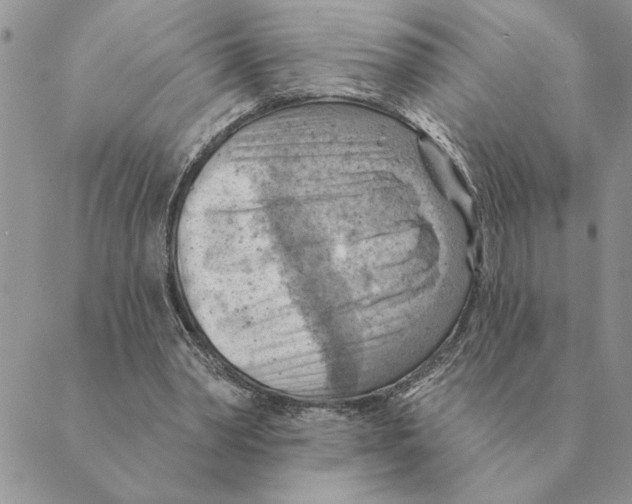 X0000088830390200707051427