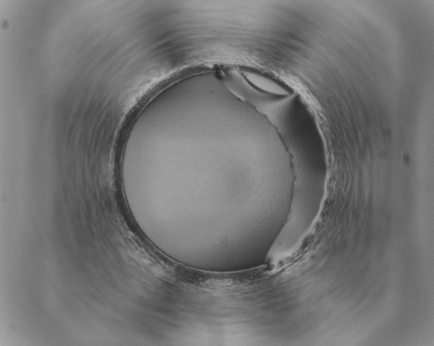 X0000088830391200707051427