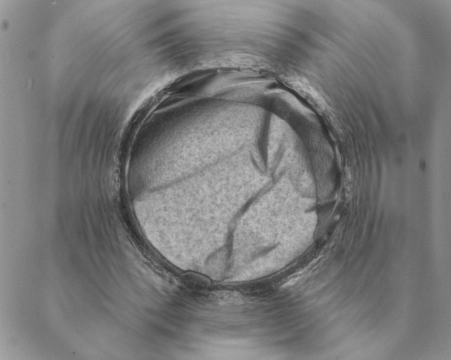 X0000088830392200707051427