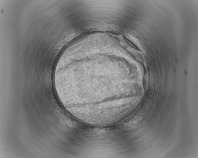 X0000088830394200707051427