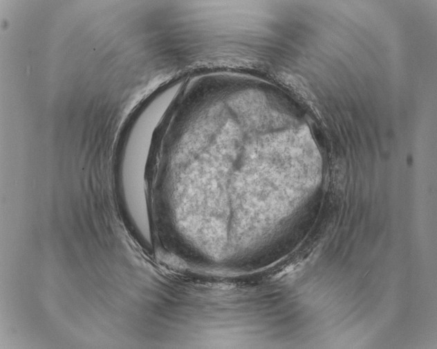 X0000088830395200707051427