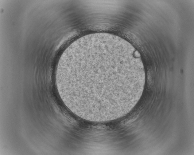 X0000088830396200707051427