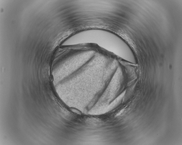 X0000088830397200707051427