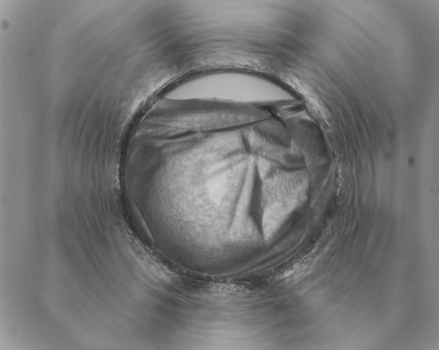 X0000088830399200707051427