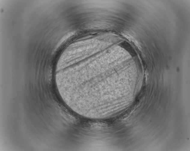 X0000088830400200707051427