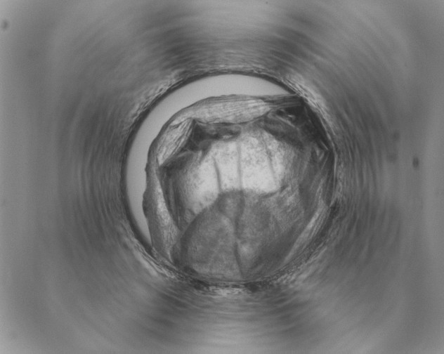 X0000088830401200707051427