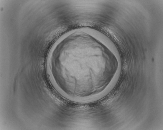 X0000088830402200707051427