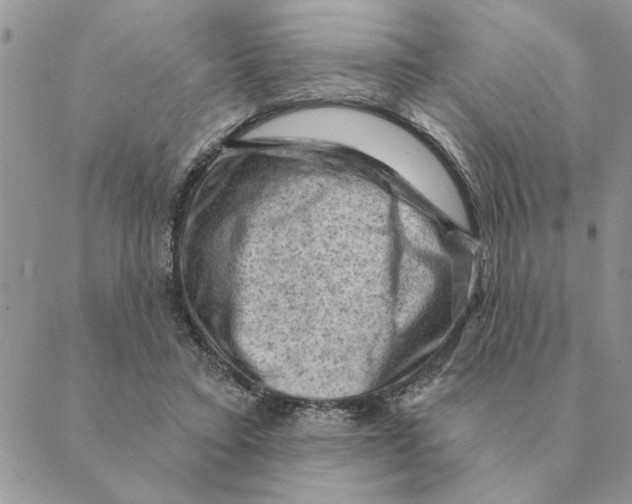 X0000088830403200707051427