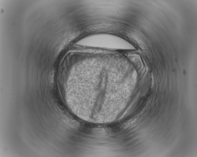 X0000088830404200707051427