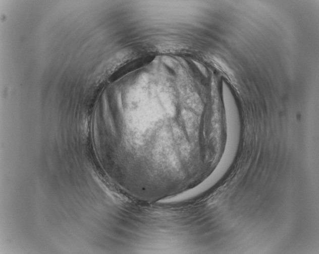 X0000088830405200707051427