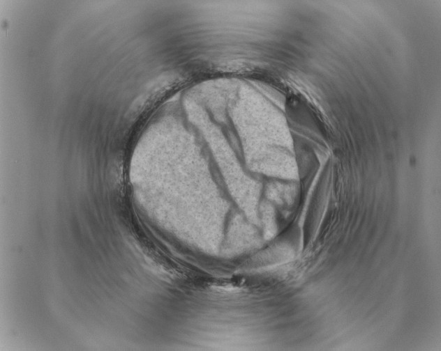 X0000088830407200707051427