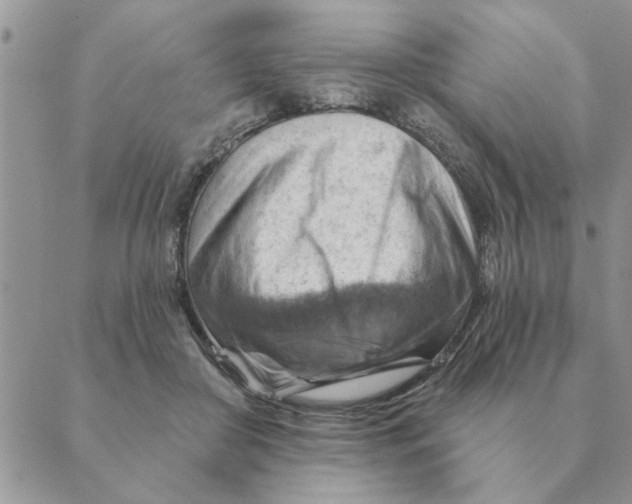 X0000088830410200707051427