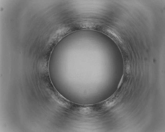 X0000088830411200707051427