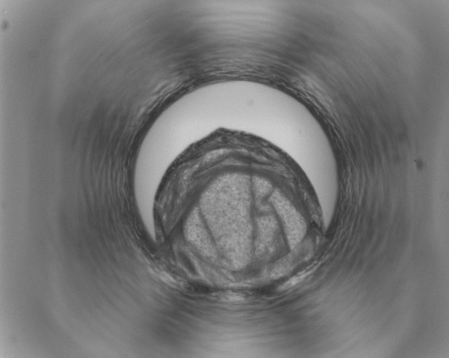 X0000088830412200707051427