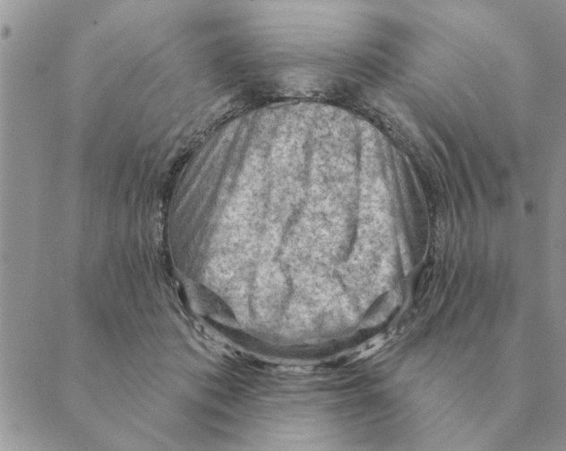 X0000088830413200707051427