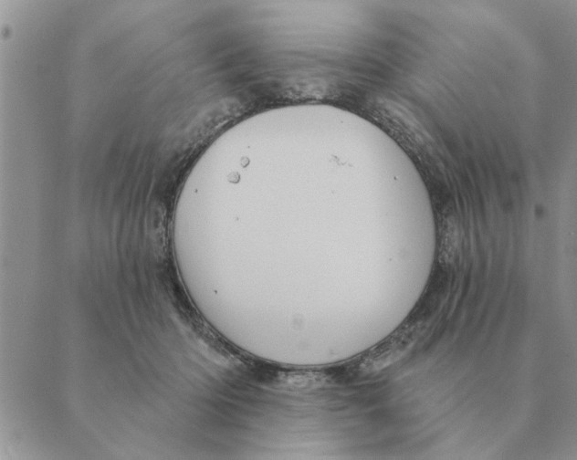 X0000088830414200707051427