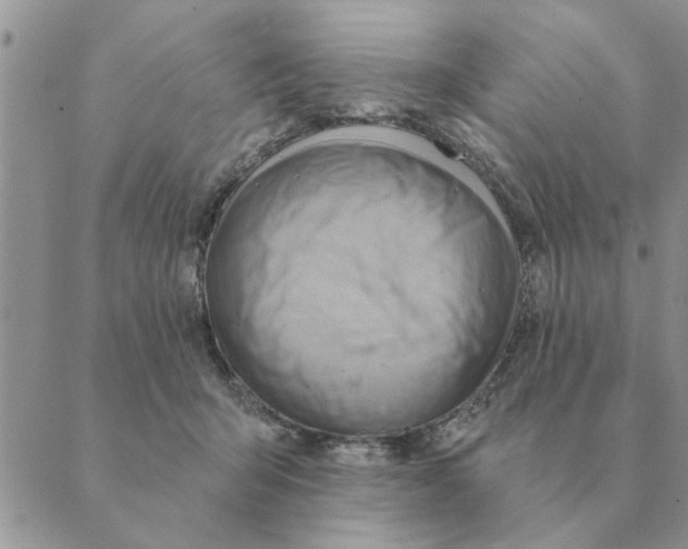 X0000088830415200707051427