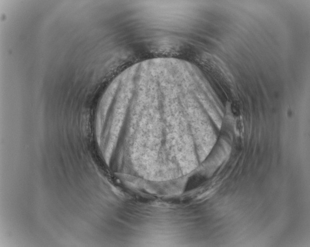 X0000088830416200707051427