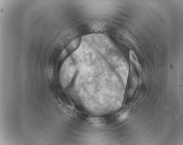 X0000088830417200707051427