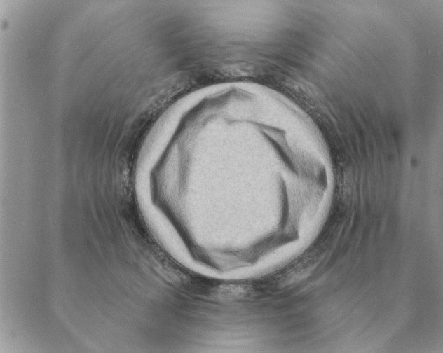 X0000088830418200707051427