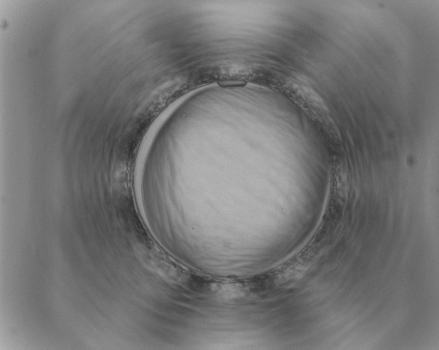 X0000088830419200707051427