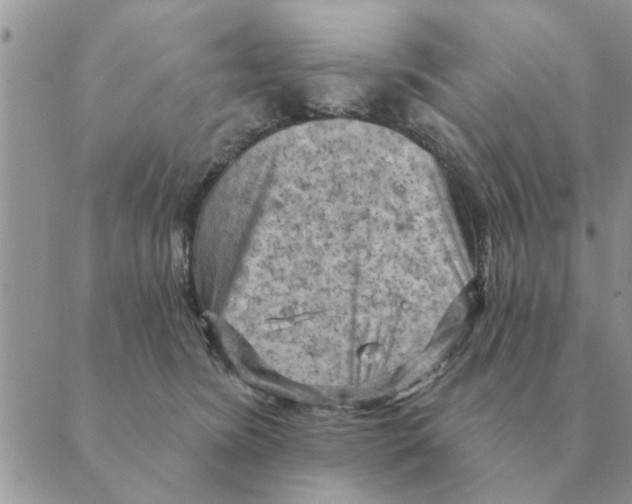 X0000088830420200707051427