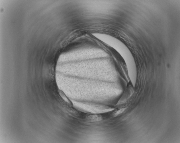 X0000088830421200707051427