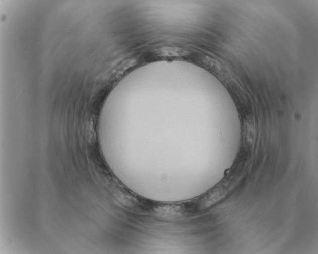 X0000088830422200707051427