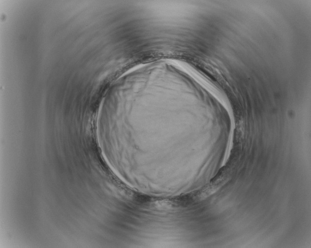 X0000088830423200707051427