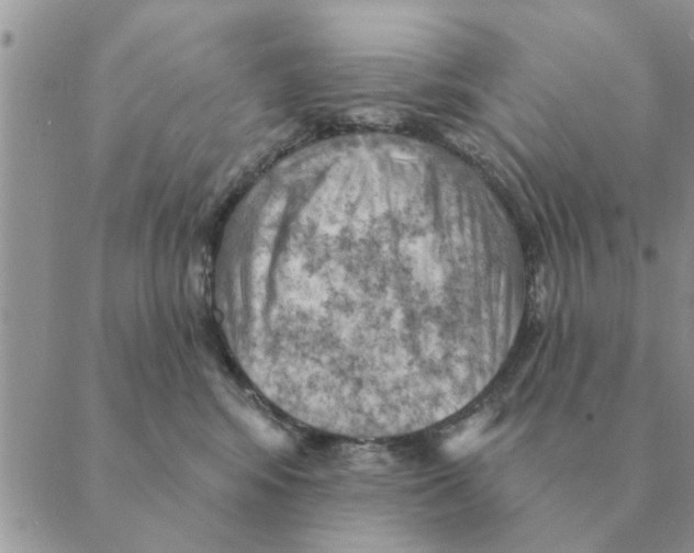 X0000088830424200707051427