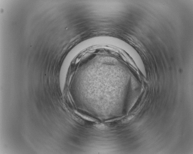 X0000088830425200707051427