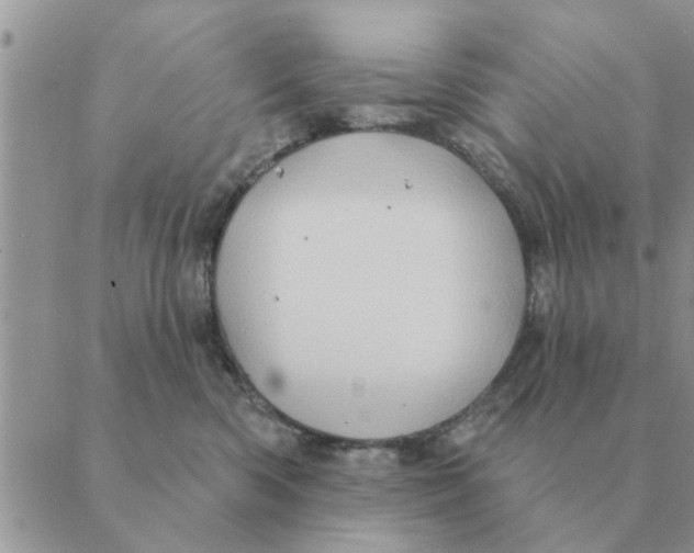 X0000088830426200707051427