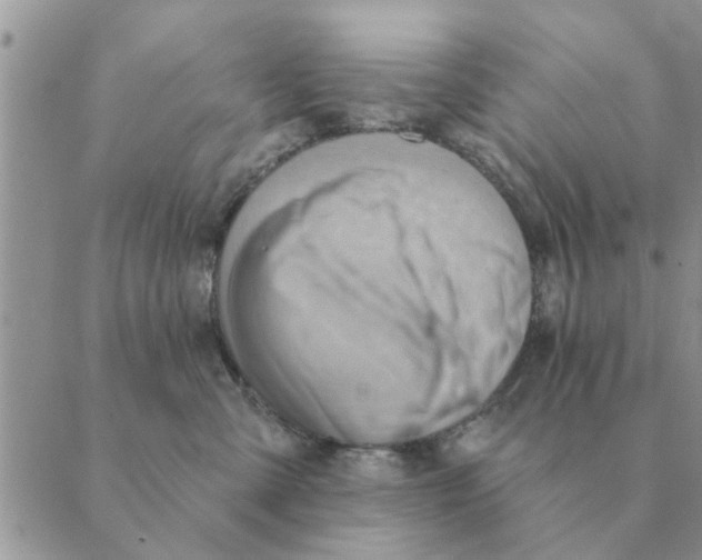 X0000088830427200707051427