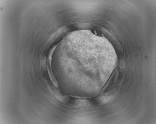 X0000088830428200707051427