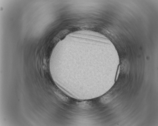 X0000088830430200707051427