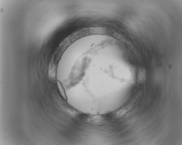 X0000088830431200707051427