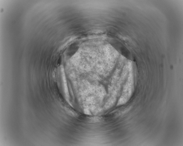 X0000088830432200707051427