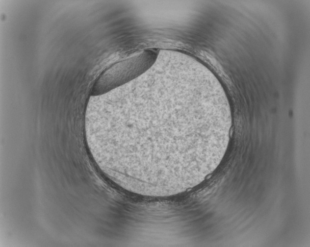 X0000088830433200707051426