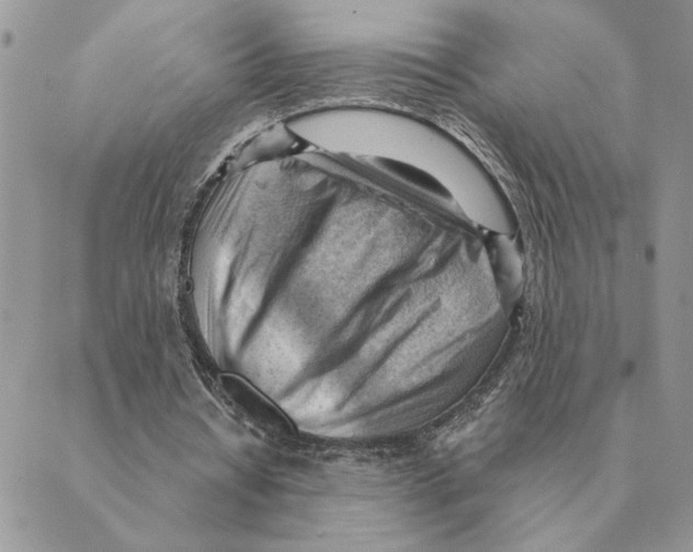 X0000088830434200707051426