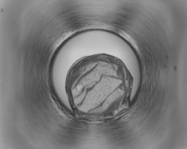 X0000088830436200707051426