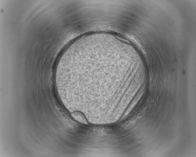 X0000088830439200707051426