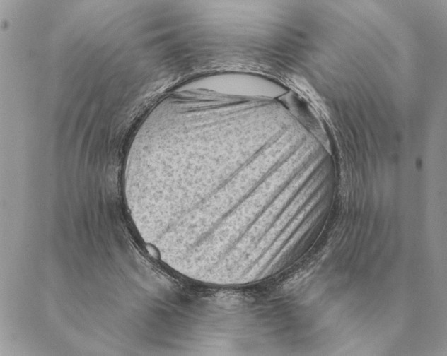 X0000088830441200707051426